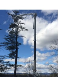 Micklon Tree Service and Landscaping