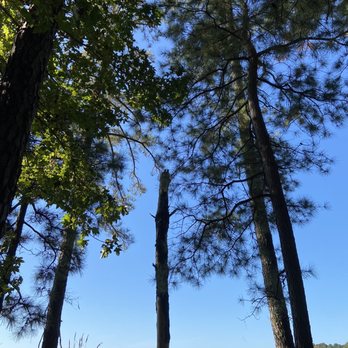 Harris Lake County Park - Parks Near Me - New Hill, North Carolina