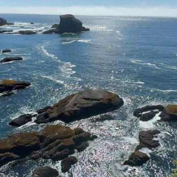 Cape Flattery - Rees's Roots - Cape Flattery Washington - Hiking Near Me - Neah Bay, Washington