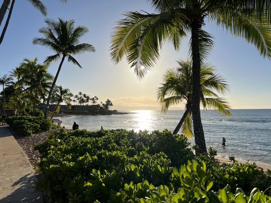 The Mauian Hotel by null