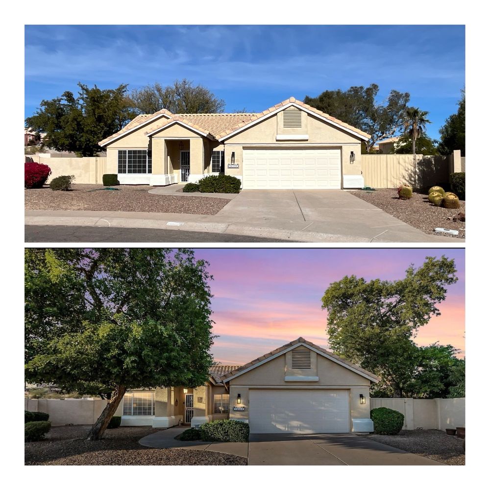 Arizona Yard Maintenance - tree service in Apache Junction, AZ