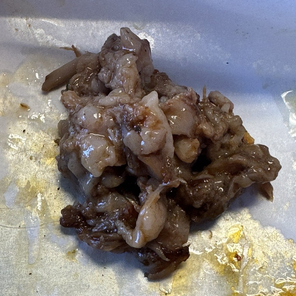 Taco's Tacos - Birria taco meat.. all fat. - Tacos Near Me - Buford, Georgia Taco's Tacos - Birria taco meat.. all fat. - Tacos Near Me - Buford, Georgia