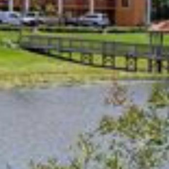 Quality Inn & Suites Mt Dora North - Outside area - Hotels Near Me - Mount Dora, Florida