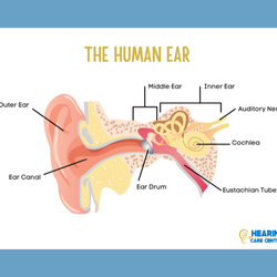 Hearing Care Centers