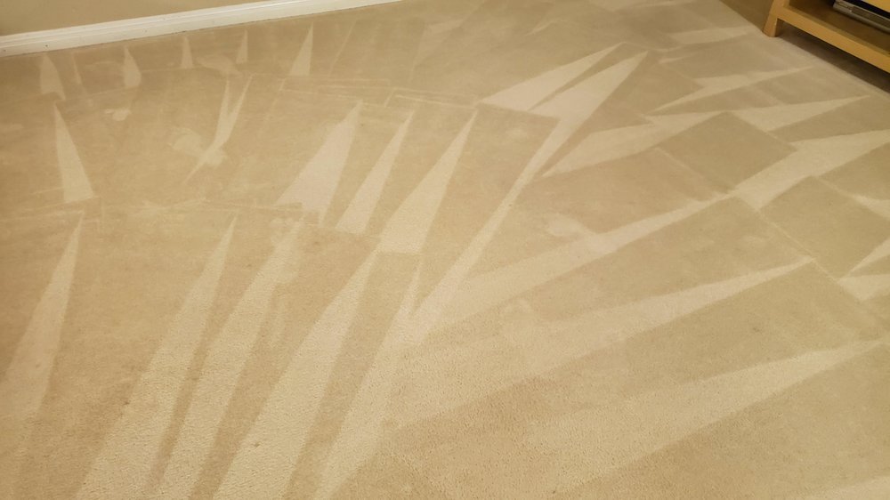 ORGANIC CARPET CARE 80 Photos & 140 Reviews Carpet Cleaning 12224