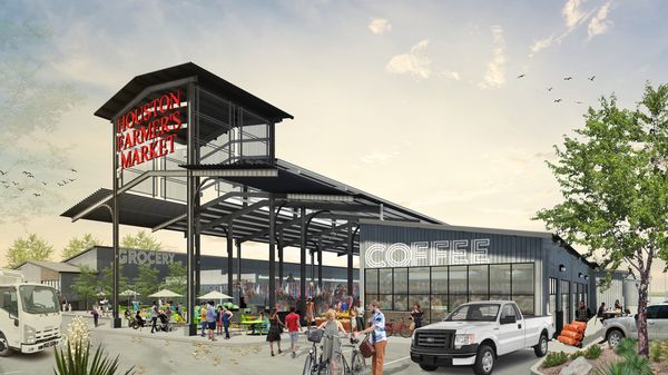 Canino Produce by null