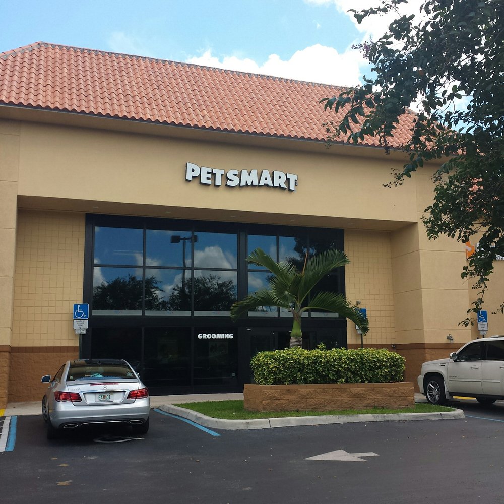 PetSmart - Here for some cat food and a collar - Pet Groomers Near Me - Coral Springs, Florida PetSmart - Here for some cat food and a collar - Pet Groomers Near Me - Coral Springs, Florida