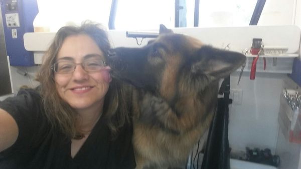 critter cleaners mobile grooming