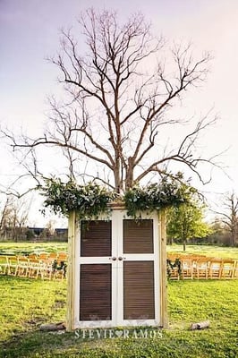 The Green Project by null