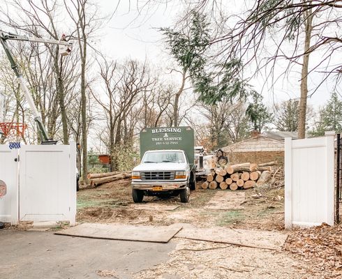 Blessing Tree Service