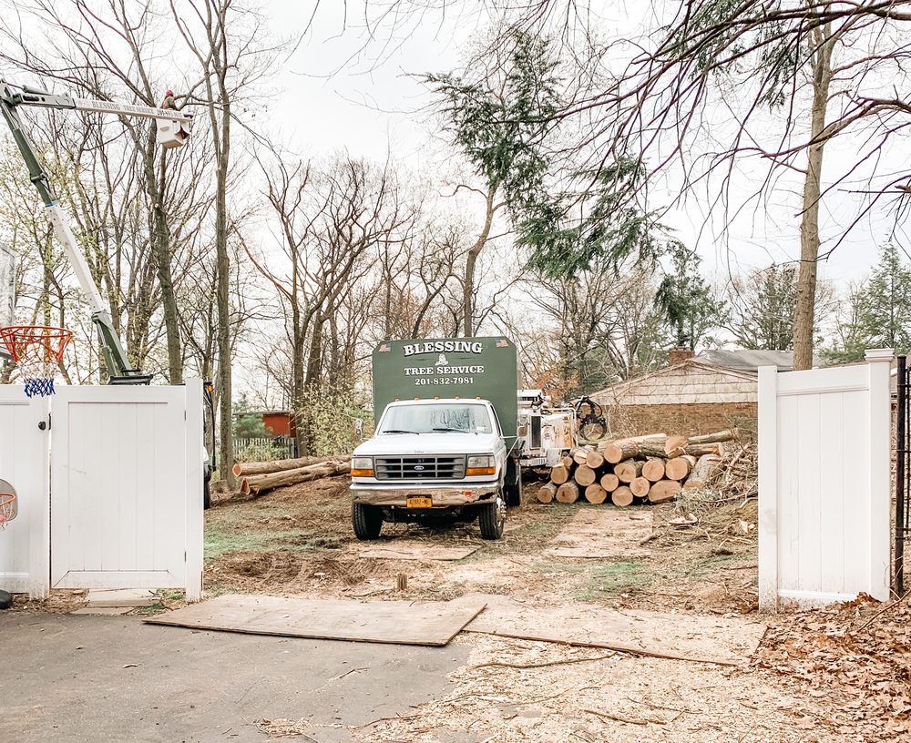 Blessing Tree Service - tree service in Dumont, NJ