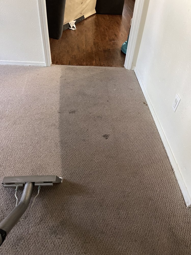JERRY’S CARPET SERVICE Updated August 2024 30 Photos Rowlett, Texas Carpet Cleaning