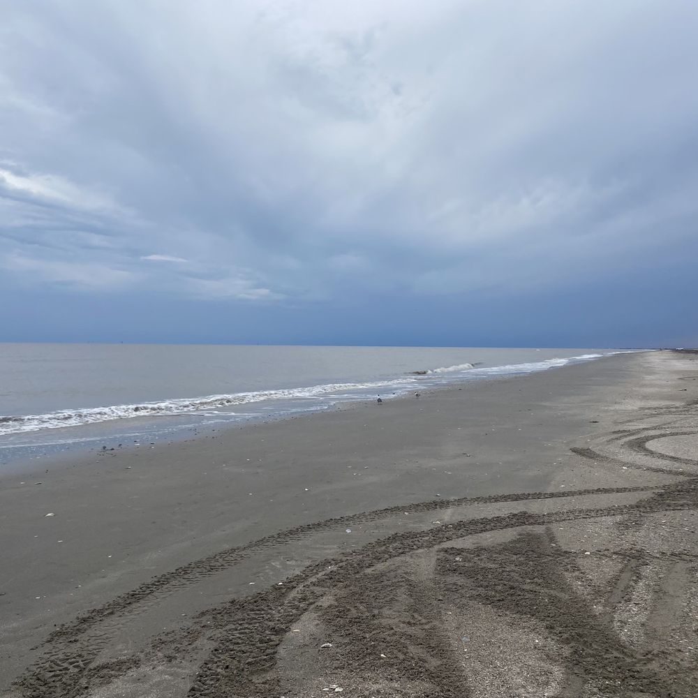 Holly Beach - Beaches Near Me - Cameron, Louisiana Holly Beach - Beaches Near Me - Cameron, Louisiana