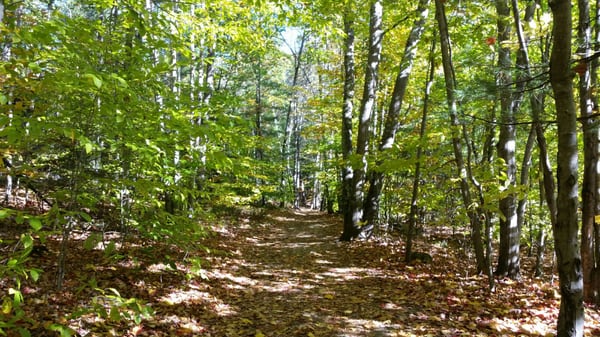 Bradbury Mountain State Park by null