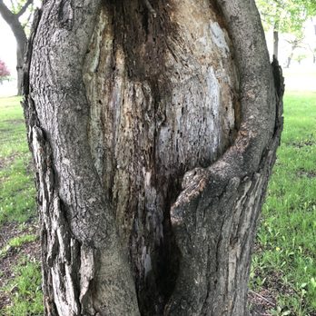 Clark Park - Parks Near Me - Detroit, Michigan