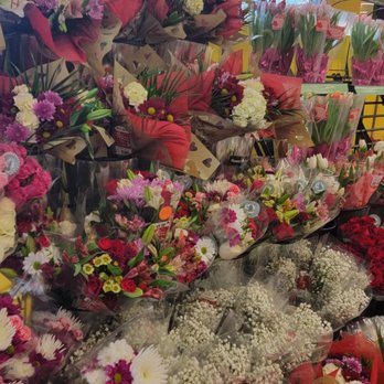 Lidl - Pretty flowers, and they have 7 day guarantee. - Grocery Near Me - Montgomery Village, Maryland Lidl - Pretty flowers, and they have 7 day guarantee. - Grocery Near Me - Montgomery Village, Maryland