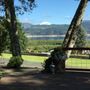 Photo of Kastle Tree Service