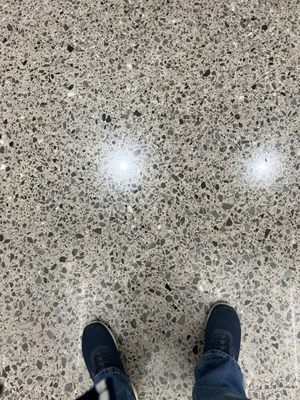 The University of Texas at Dallas by null