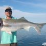 Photo of Fishhooks Adventures