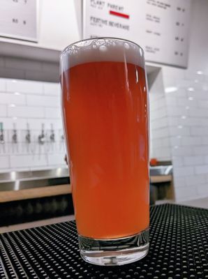 Temescal Brewing by null