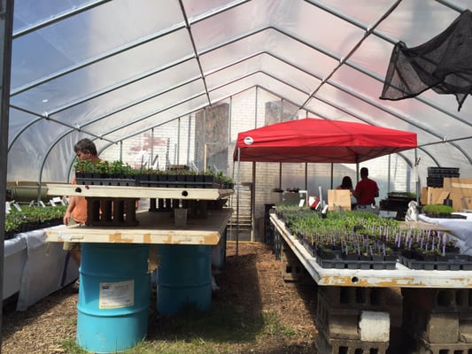 Garden Dreams Urban Farm & Nursery - Grow Pittsburgh by null