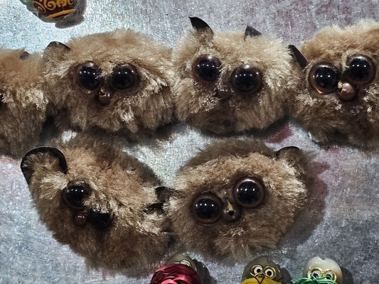 Philippine Tarsier Sanctuary by null