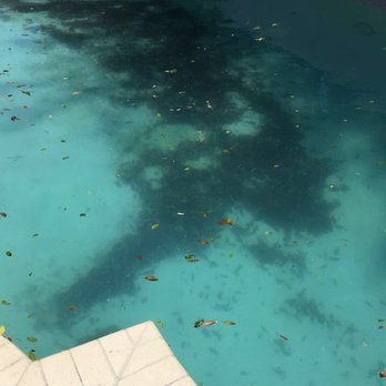 Pats Pool Cleaning - Pool Cleaners Near Me Pats Pool Cleaning - Pool Cleaners Near Me