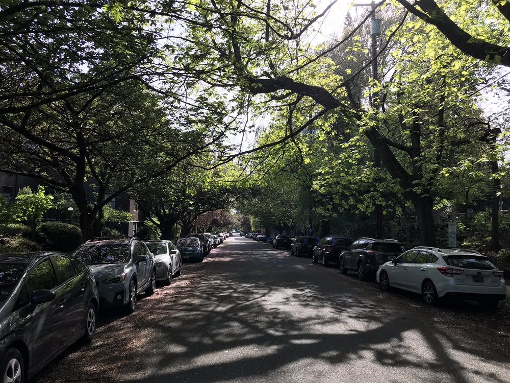 COUCH PARK 37 Photos & 29 Reviews NW 19th Ave & Glisan St, Portland