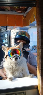 El Tio Tamale Cart by null