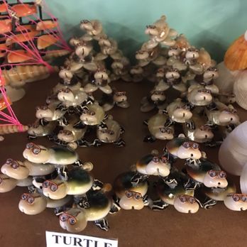 The Shell Shop - Arts & Crafts Near Me - Morro Bay, California