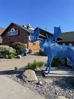 Blue Moose Bar & Grill by null