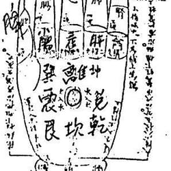 Plum Blossom Clinic - Plum blossom hand