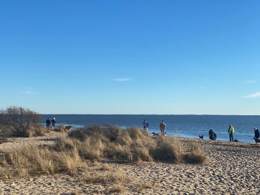 MUD CREEK DOG PARK - Updated December 2024 - 50 Photos & 20 Reviews