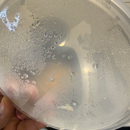 Hair in the lid