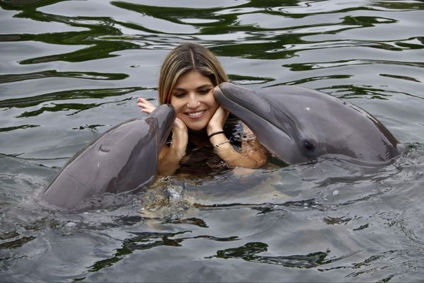 Dolphins Plus Marine Mammal Responder by null