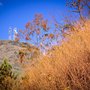 Photo of Parque da Serra do Curral