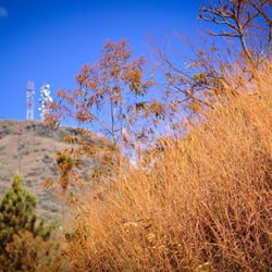 Parque da Serra do Curral