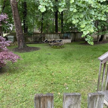Prime Cuts RVA - Before,nothing but huge roots, sticks,etc. Scott brought in soil, mulch,seed,and now we have GRASS! - Lawn Services Near Me Prime Cuts RVA - Before,nothing but huge roots, sticks,etc. Scott brought in soil, mulch,seed,and now we have GRASS! - Lawn Services Near Me