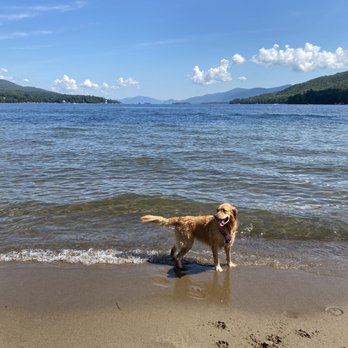 Lake George Dog Beach - Dog Parks Near Me Lake George Dog Beach - Dog Parks Near Me