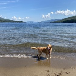Lake George Dog Beach