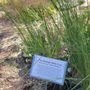 Photo of Plants of the Southwest