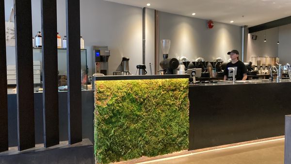 Prototype Coffee by null