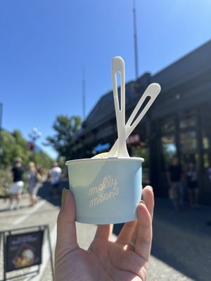 Molly Moon's Homemade Ice Cream Waterfront by null