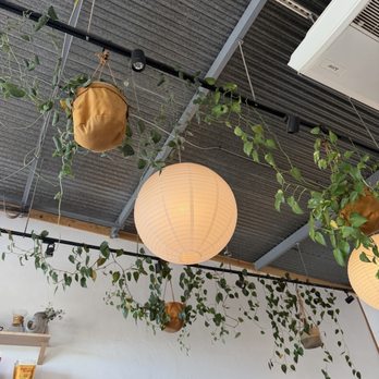 The Bird’s Nest Coffee - Coffee & Tea Near Me - Haleiwa, Hawaii The Bird’s Nest Coffee - Coffee & Tea Near Me - Haleiwa, Hawaii