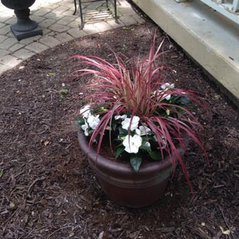 Madtown Greenery - Flower Pot Arrangement. Tell Madtown Greenery your budget/ideas and your flower pots/beds will be filled. - Landscaping Near Me Madtown Greenery - Flower Pot Arrangement. Tell Madtown Greenery your budget/ideas and your flower pots/beds will be filled. - Landscaping Near Me
