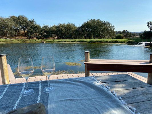Dovecote Estate Winery by null