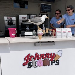 Johnny Scoops - WHY IS THE BIRD CRAPPIN ON THE ICE CREAM
