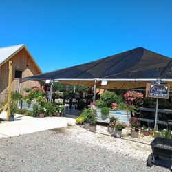 Boone Hall Farms