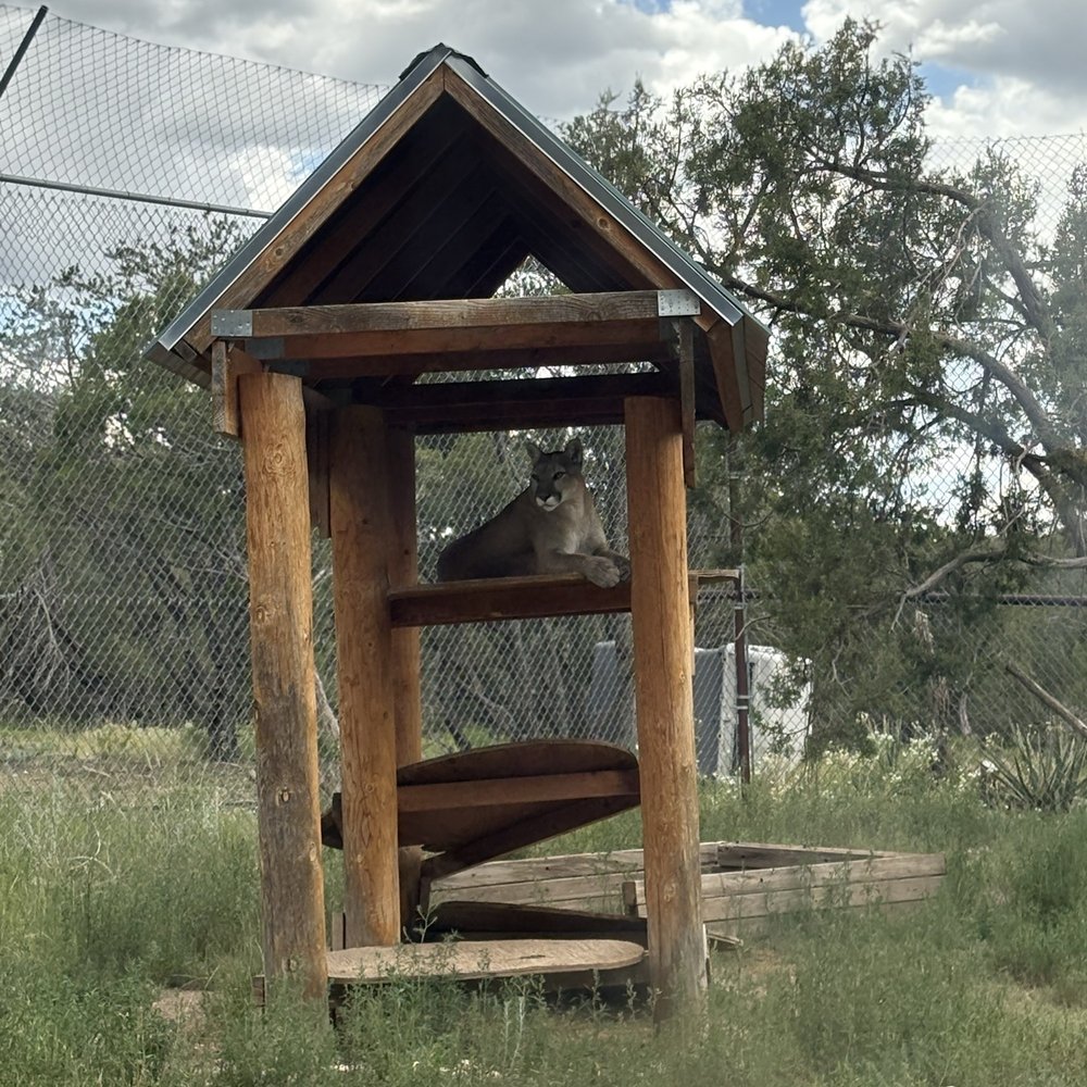 Wildlife West Nature Park - Zoos Near Me - Edgewood, New Mexico Wildlife West Nature Park - Zoos Near Me - Edgewood, New Mexico