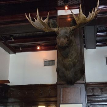 Menger Bar - The Biggest Moose you'll ever be this close to and live! - Bars Near Me - San Antonio, Texas